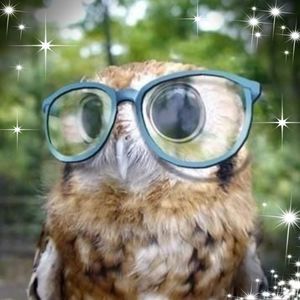 Meet your Posher, Nathan